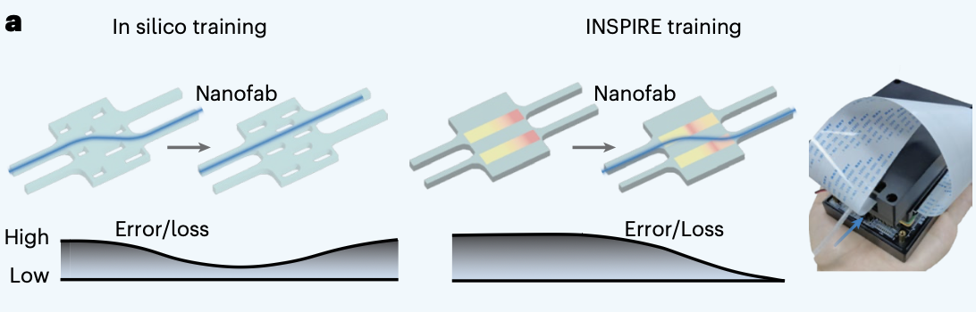 Comparison of in silico and INSPIRE training